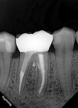 photo-5.jpg