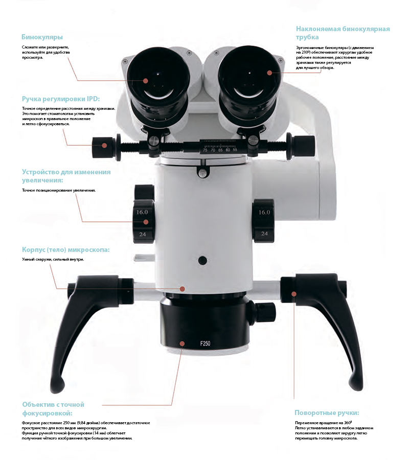 GreenMED3.jpg